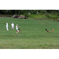 click to view a full-size picture without a caption